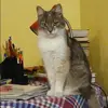 Отзыв от Галя Астафьева